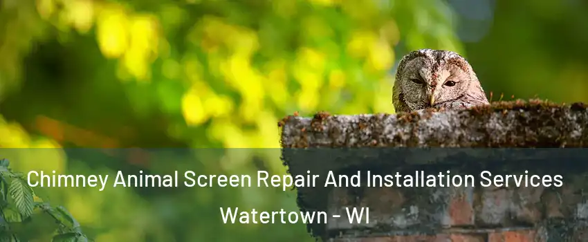  Chimney Animal Screen Repair And Installation Services Watertown - WI