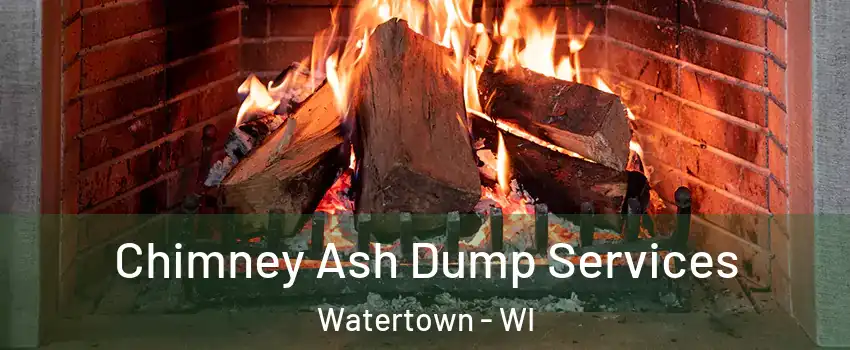  Chimney Ash Dump Services Watertown - WI