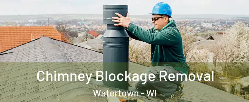  Chimney Blockage Removal Watertown - WI