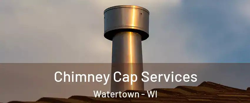 Chimney Cap Services Watertown - WI