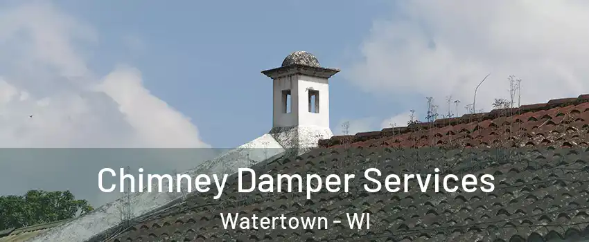  Chimney Damper Services Watertown - WI