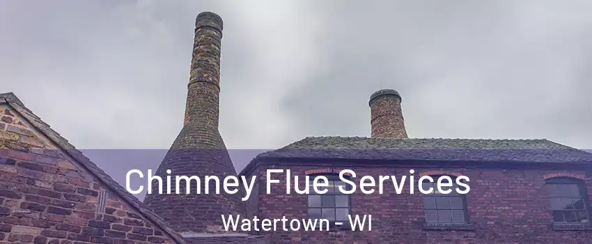  Chimney Flue Services Watertown - WI