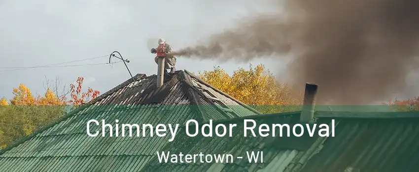  Chimney Odor Removal Watertown - WI