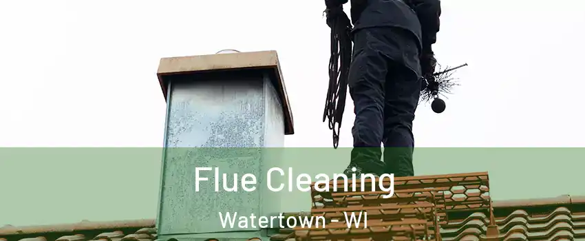  Flue Cleaning Watertown - WI