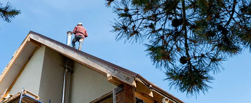 Birds Removal Contractors from Chimney in Watertown, WI