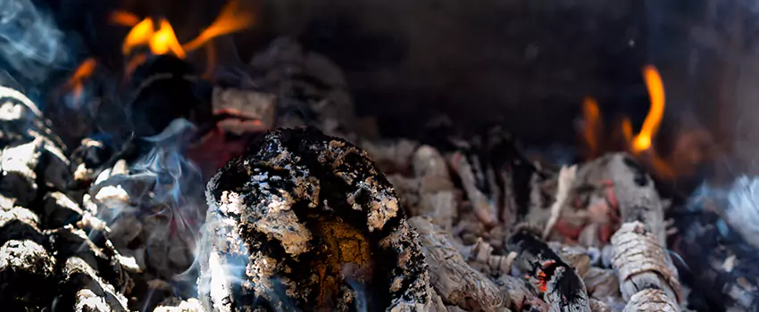 Creosote Removal Experts in Watertown, WI