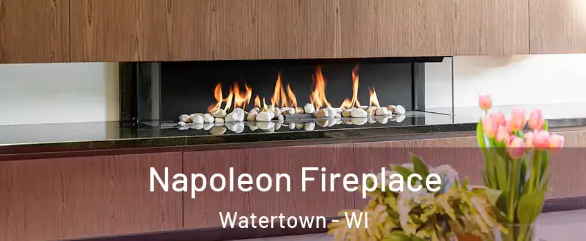  Napoleon Fireplace Watertown - WI
