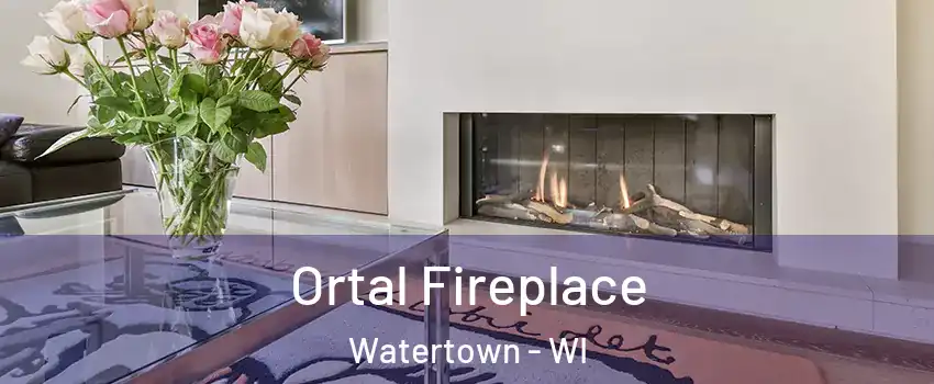 Ortal Fireplace Watertown - WI